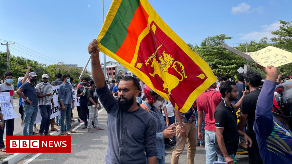 Why Sri Lanka cabinet resignations won't appease angry protesters
