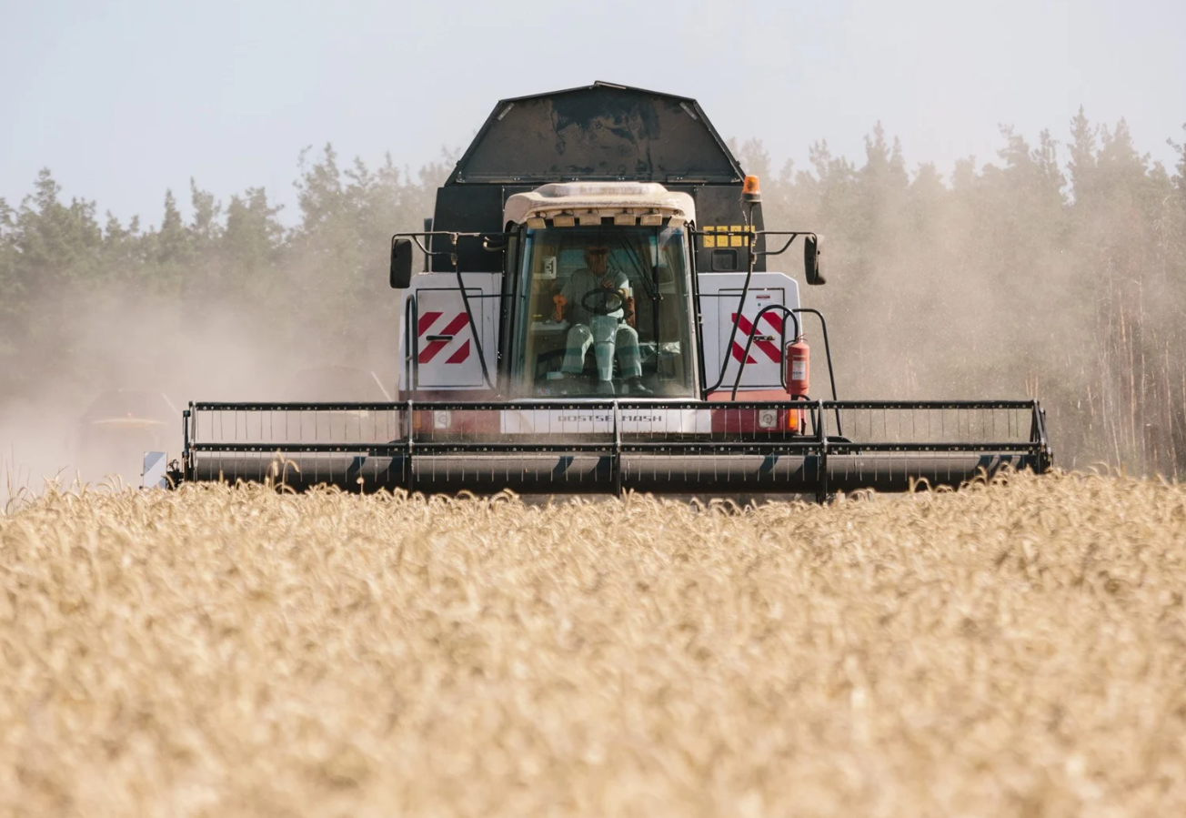 Growing risk of hunger as Russians loot southern east Ukraine's grain stockpiles - Gaidai