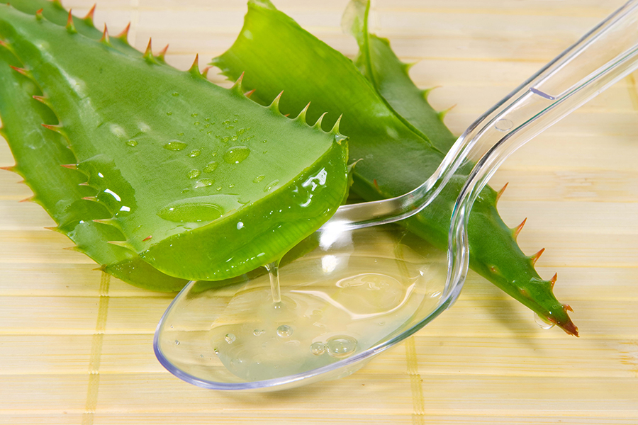 The 15 Best Aloe Skin-Care Products for Soothing Skin