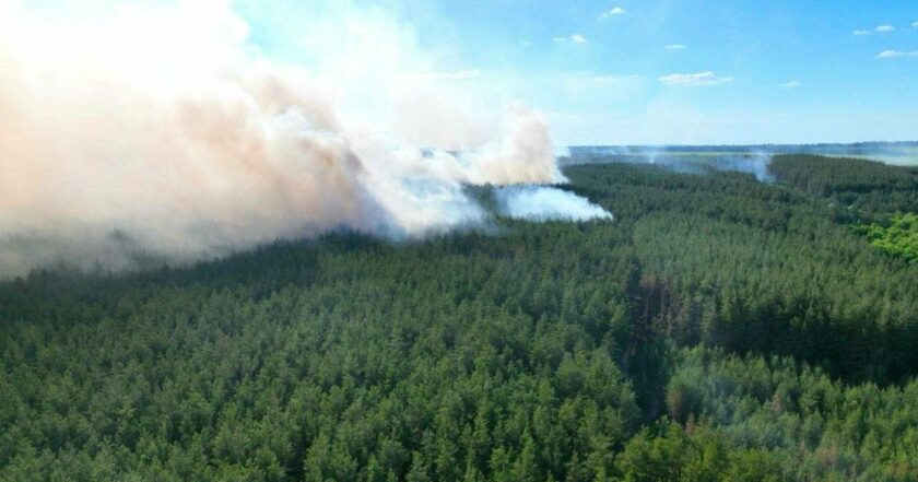 8 hectares of ecosystems in Kharkiv region burned down because of russian shelling