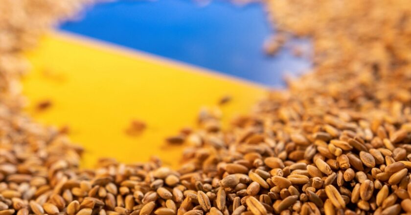 Reuters: Ukraine to export grain through Poland and Romania