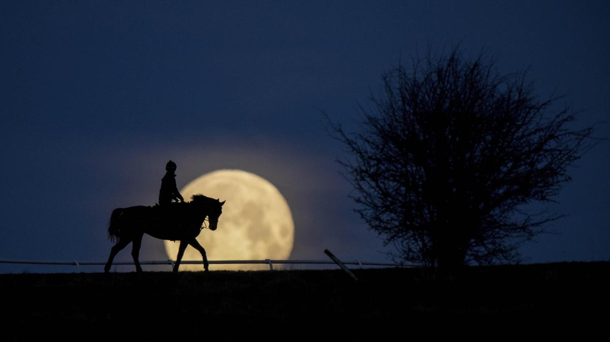 Times Sport Unseen: Ed Whitaker shares his favourite racing photos