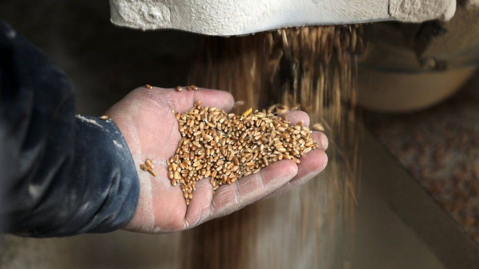 EU tries to get grain from Ukraine as Russia's war drags on