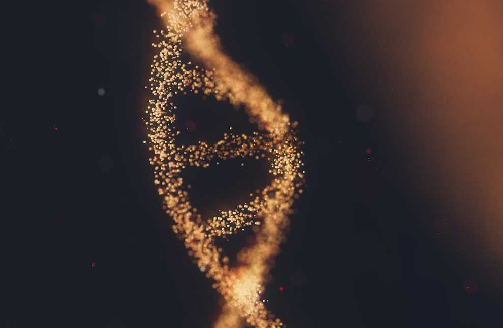 Scientists have announced an almost complete decoding of the human genome