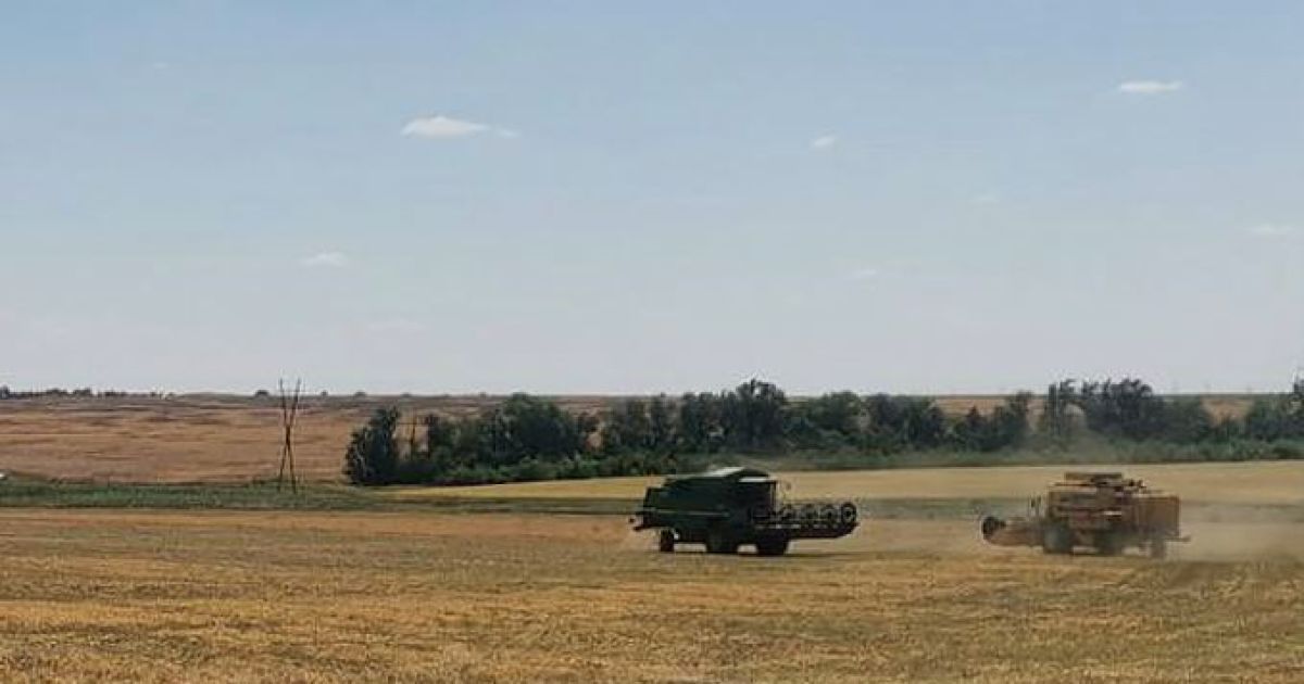 Only Those Who Cooperate with Russian Invasion Administration Are Allowed to Gather the Crops Commercially in Mariupol Area – Andriushchenko