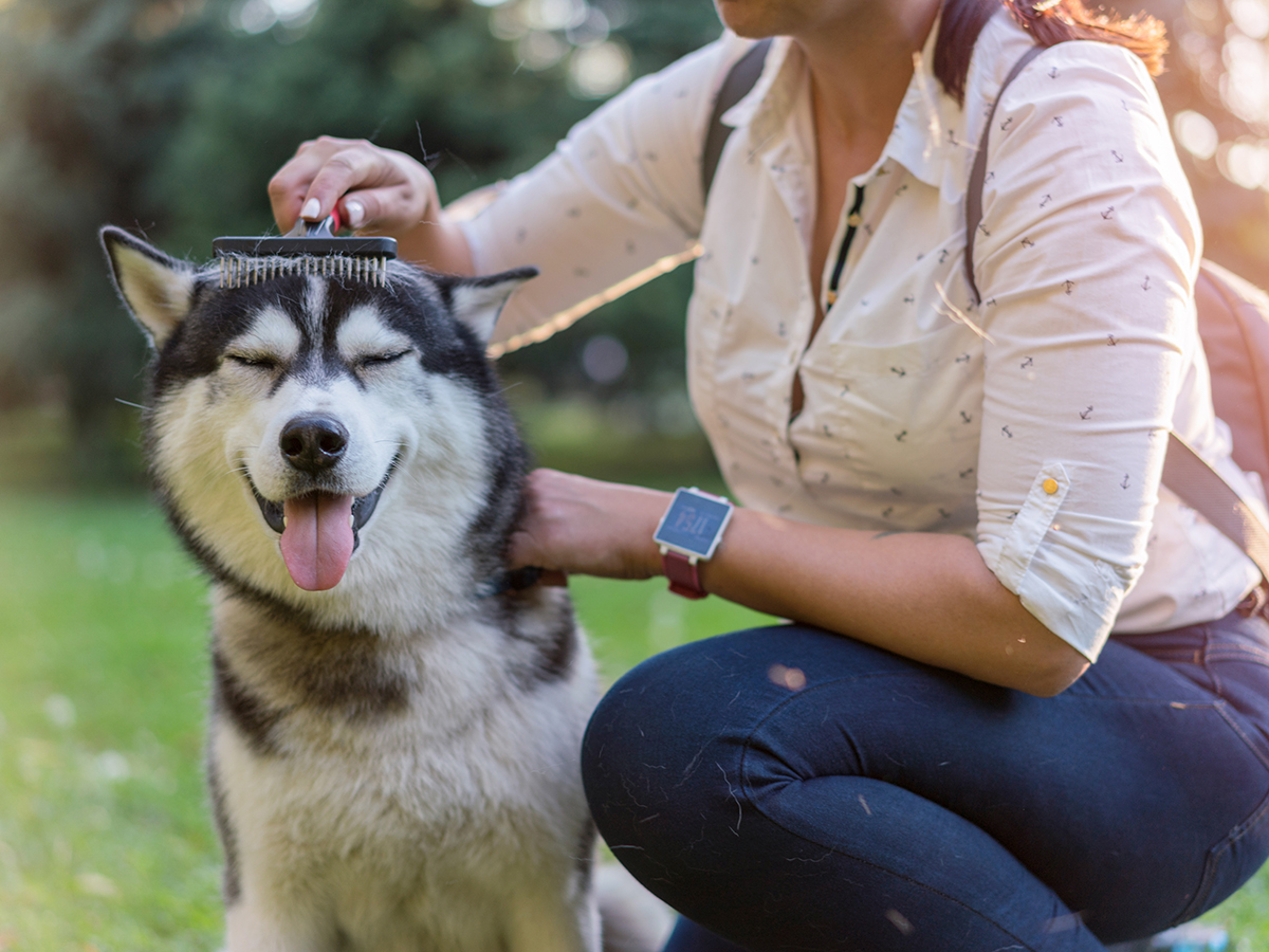 Dog ownership and mental health - for better and worse