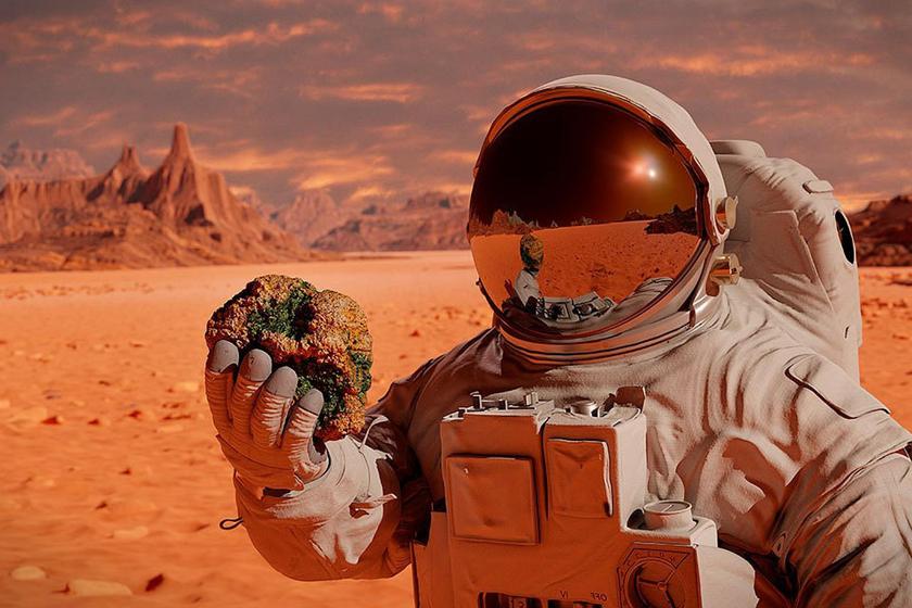 NASA Has Created A Program That Lets You Hear How Your Voice Will Sound On