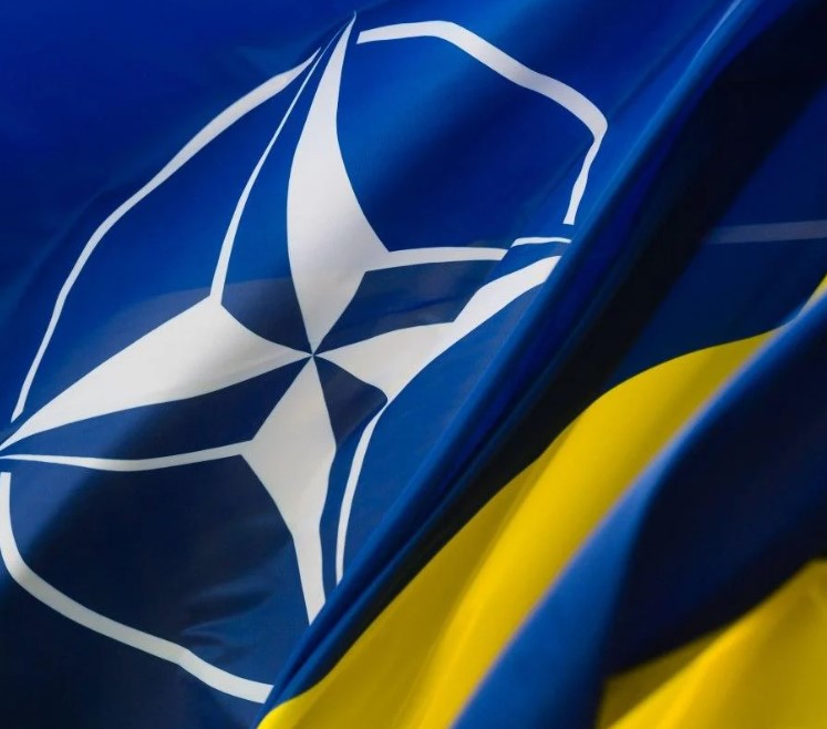Nine countries have already supported Ukraine's accession to NATO