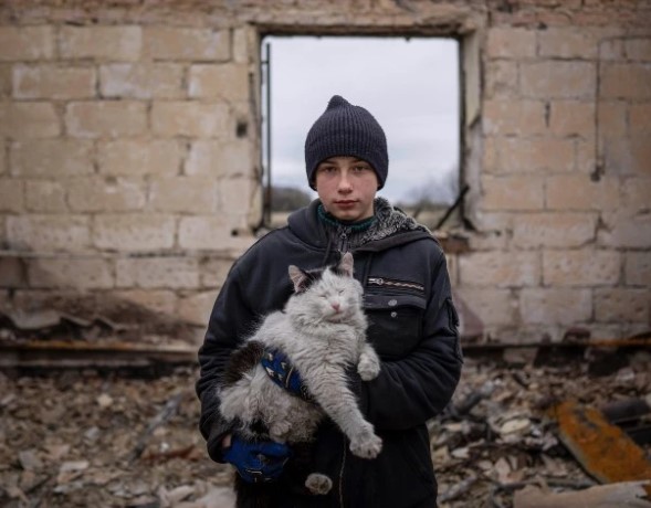 Children of the War: May They Be Adopted?