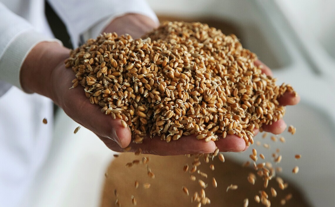 Russia Says Grain Initiative Might Resume on One Condition