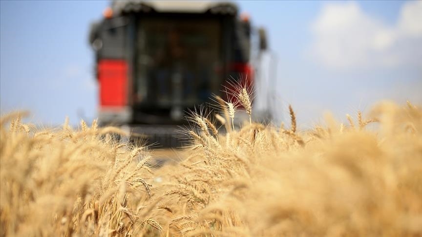 Russia resumes participation in grain deal in the Black Sea