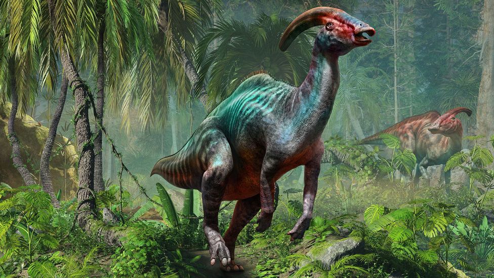 The mysterious song of the dinosaurs