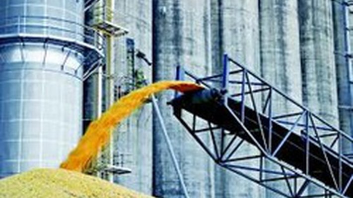 Romania to introduce ban on import of Ukrainian agricultural products for 30 days – PM