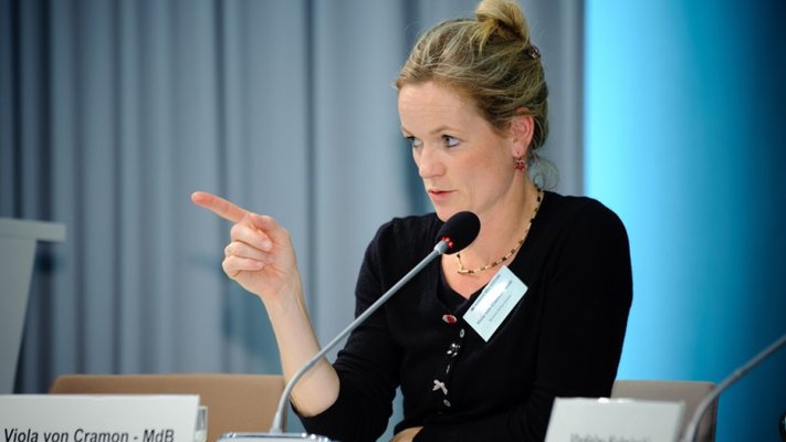 MEP von Cramon: Ukraine should include opposition in decision-making process at executive level